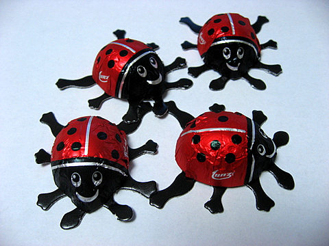 テントウムシチョコ