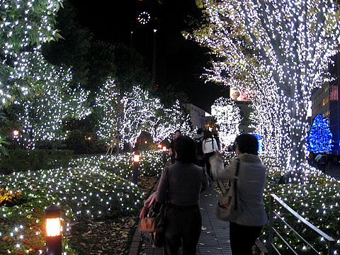 イルミネーション