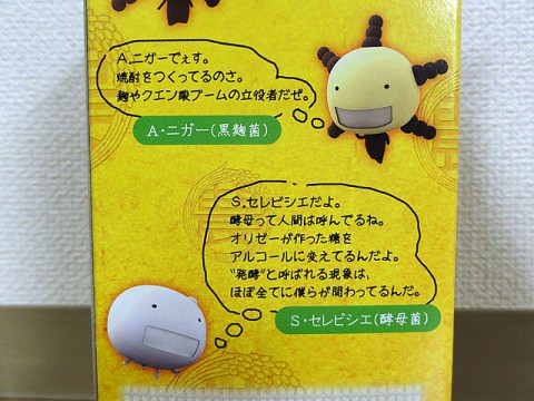 もやしもん泡盛